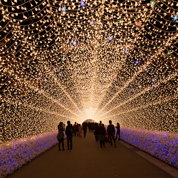 Enjoy Light Festival CISN Country Edmonton