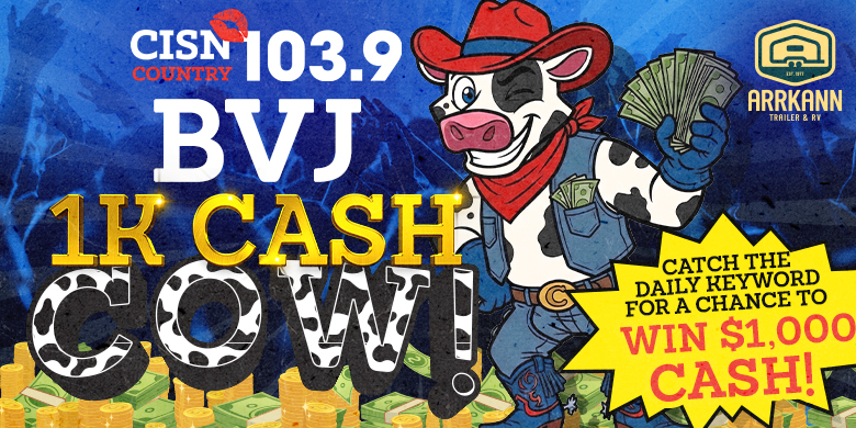$1K BVJ Cash Cow